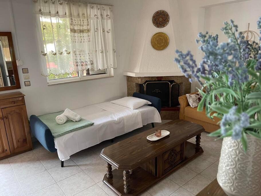 Philoxenia House In Asklipio Holiday home